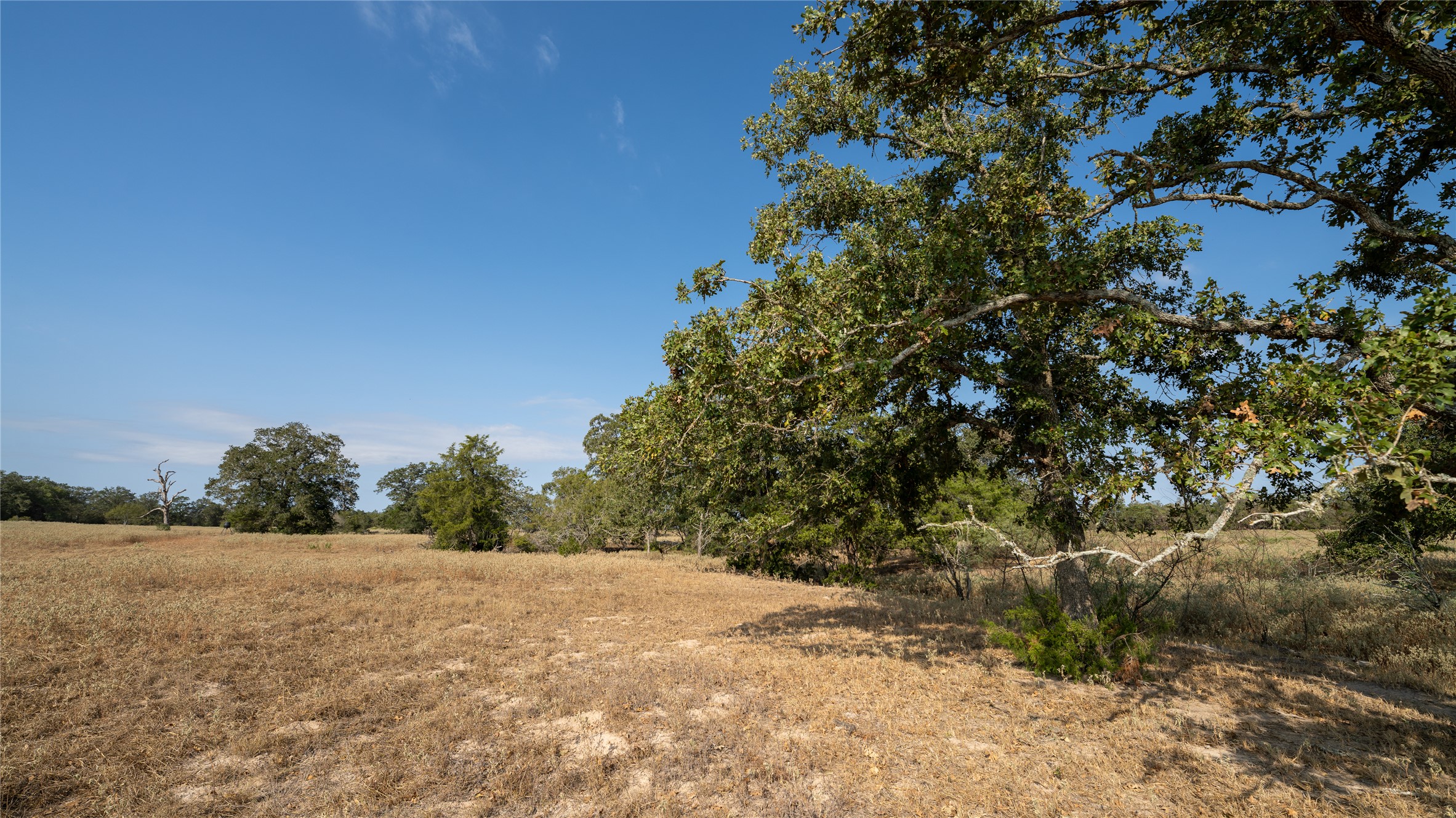 8 Cedar Rock Road Rosanky, TX 78953 - Photo 12 of 17 View of undeveloped land featuring rural landscape