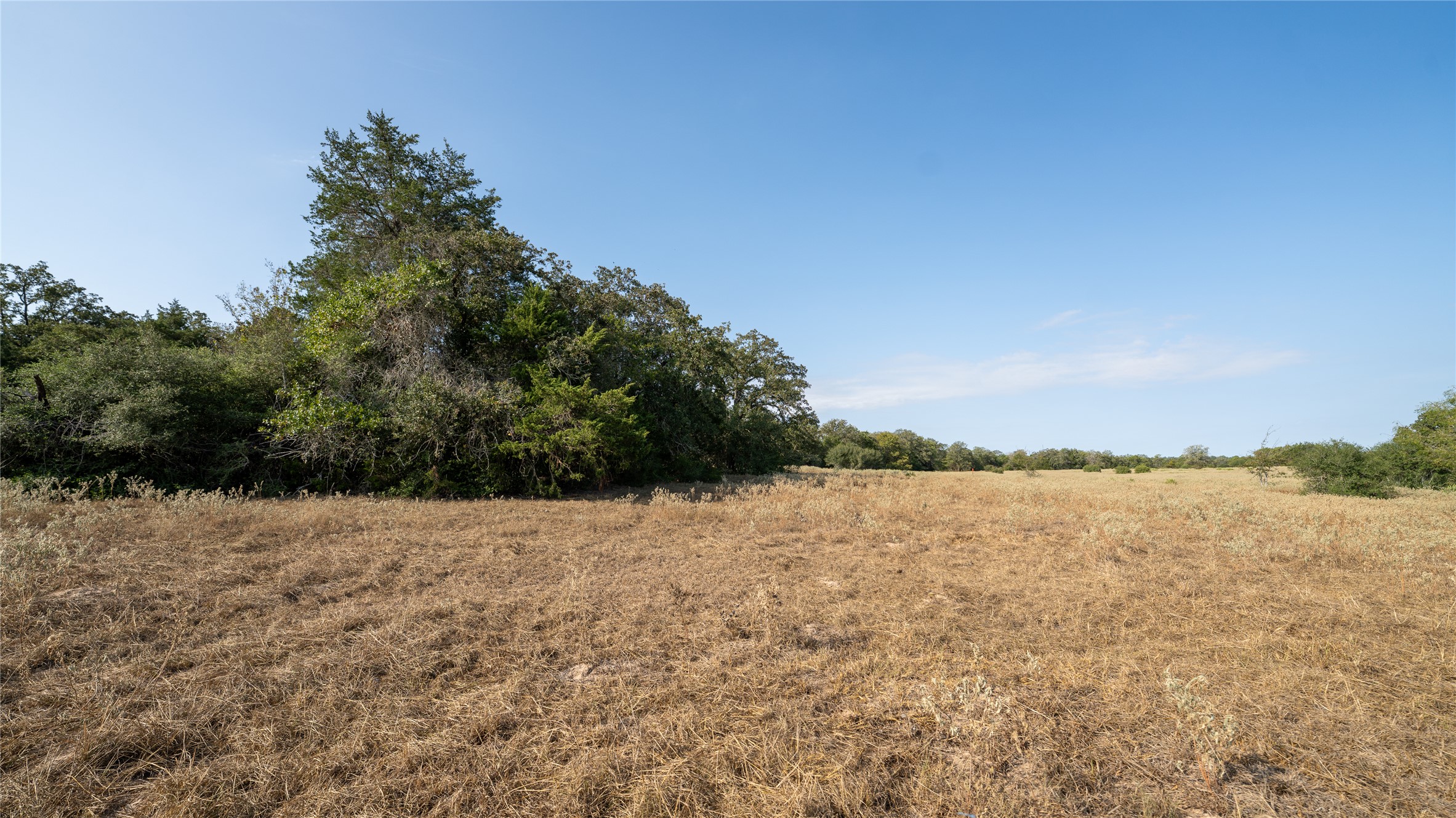 8 Cedar Rock Road Rosanky, TX 78953 - Photo 13 of 17 View of local wilderness featuring rural landscape