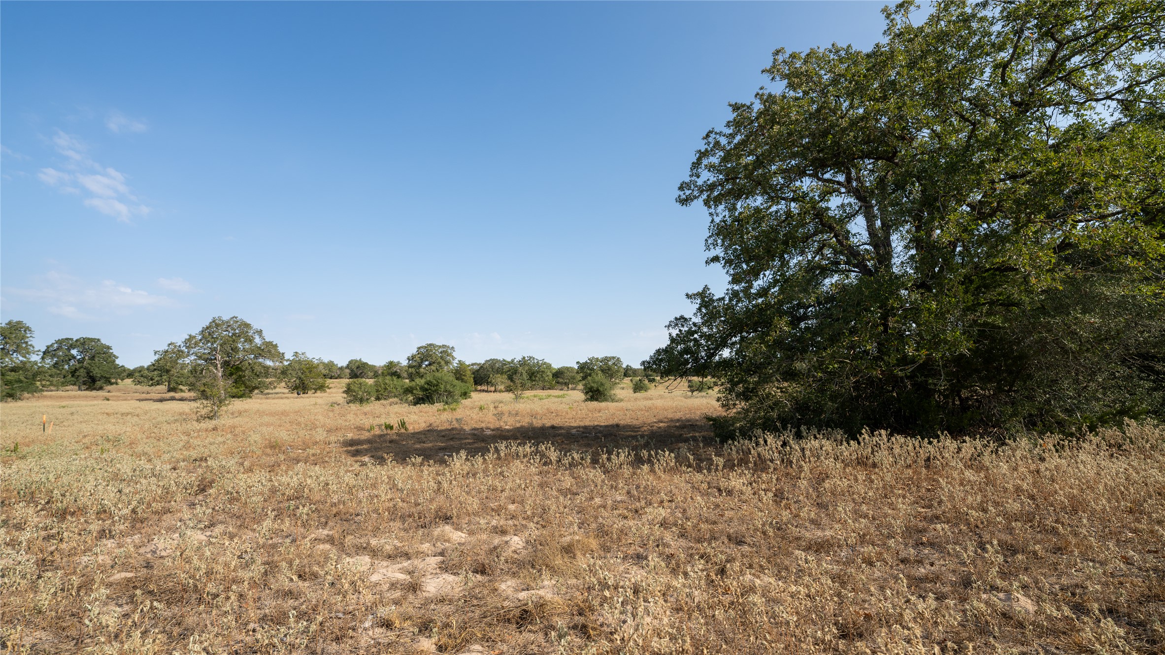 8 Cedar Rock Road Rosanky, TX 78953 - Photo 15 of 17 View of undeveloped land with rural landscape