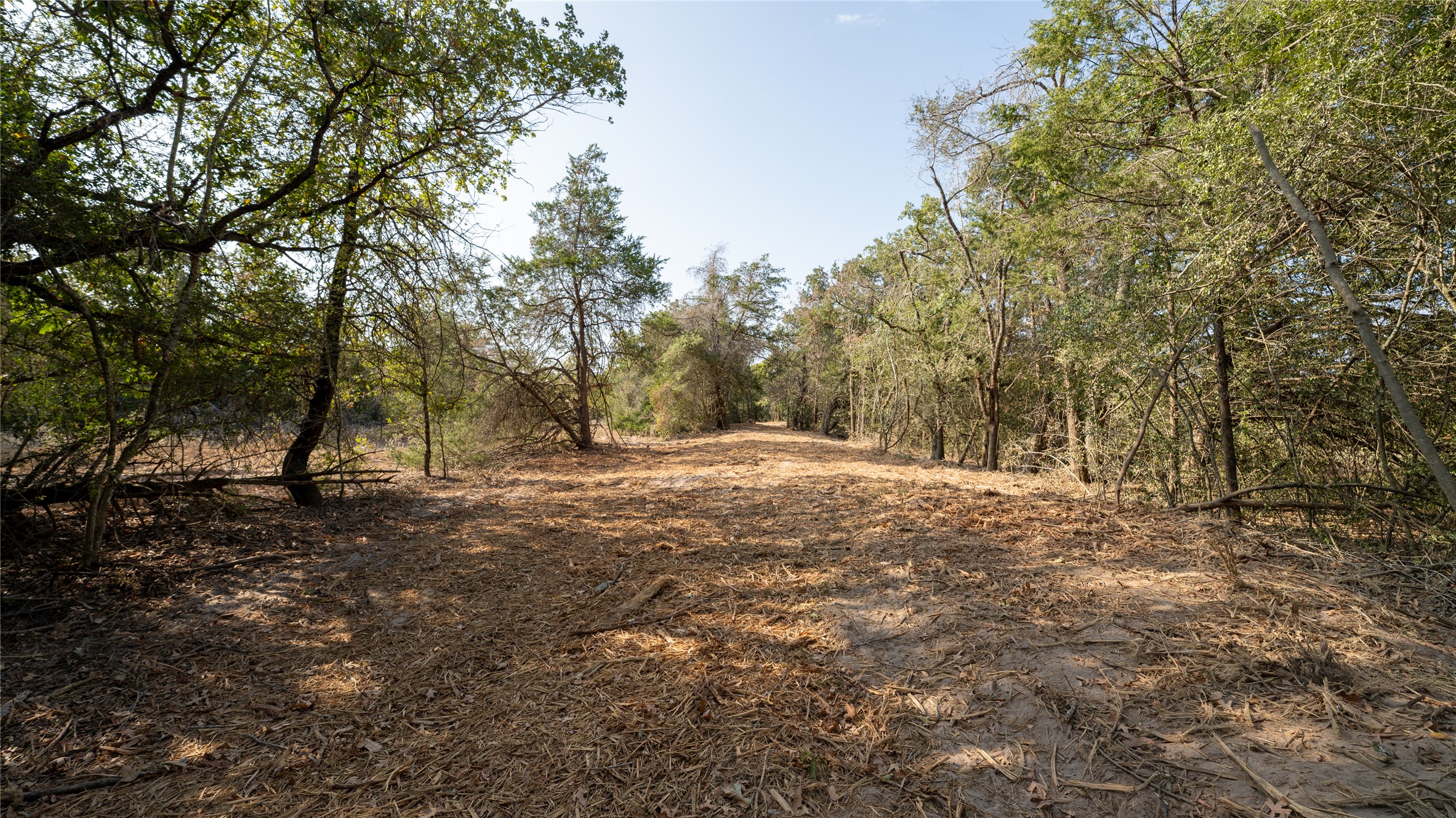8 Cedar Rock Road Rosanky, TX 78953 - Photo 3 of 17 View of wooded area