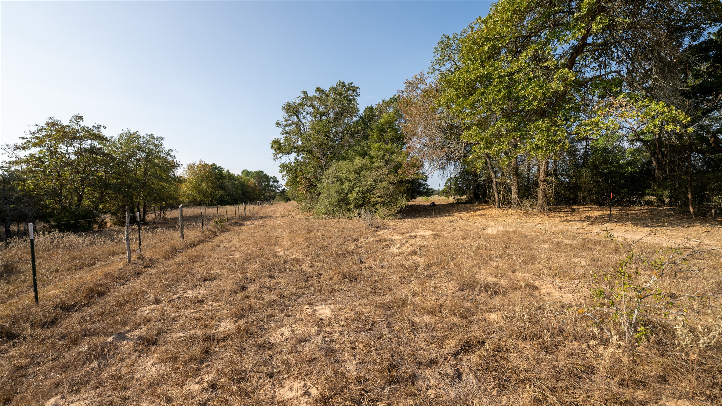 8 Cedar Rock Road Rosanky, TX 78953 - Photo 5 of 17 View of yard with a rural view