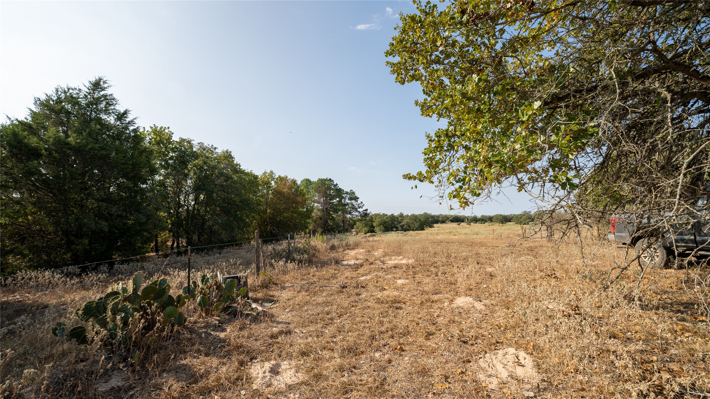 8 Cedar Rock Road Rosanky, TX 78953 - Photo 6 of 17 View of undeveloped land featuring rural landscape