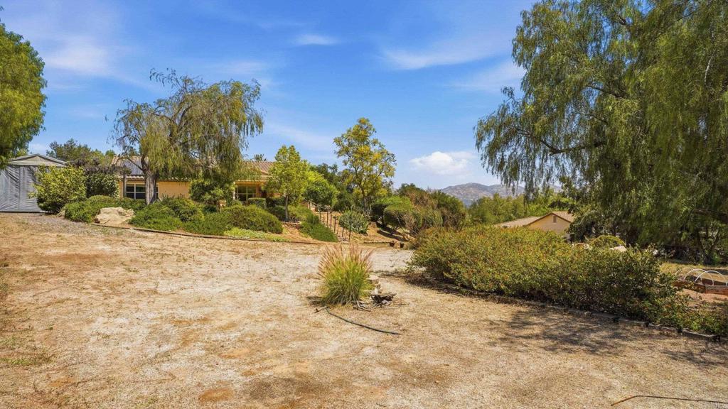 2527 Southern Oak Road Ramona, CA 92065 - Photo 41 of 56 a view of a yard with a tree