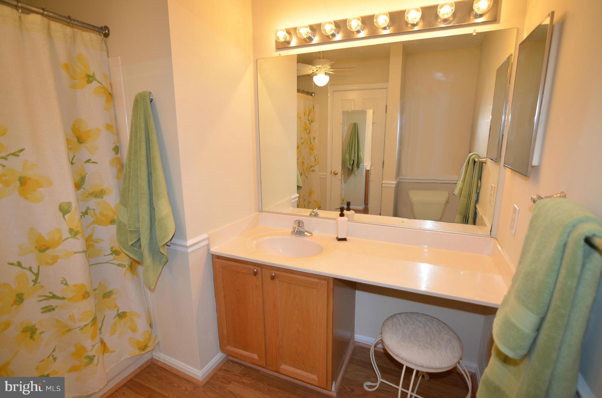 8745 Spring Brook Way, Unit 1 Odenton, MD 21113 - Photo 12 of 20 Master Bathroom