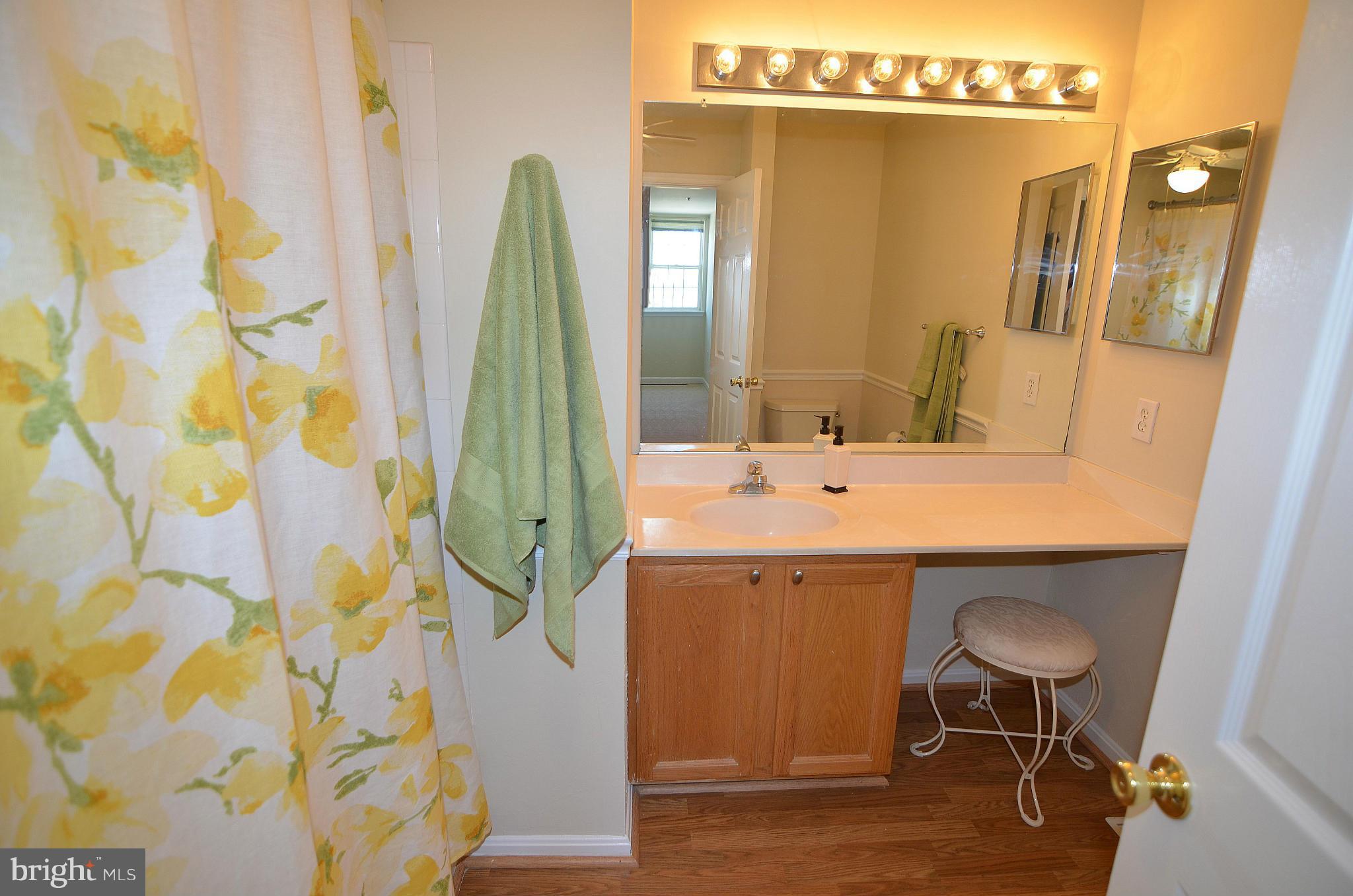 8745 Spring Brook Way, Unit 1 Odenton, MD 21113 - Photo 13 of 20 Master Bathroom