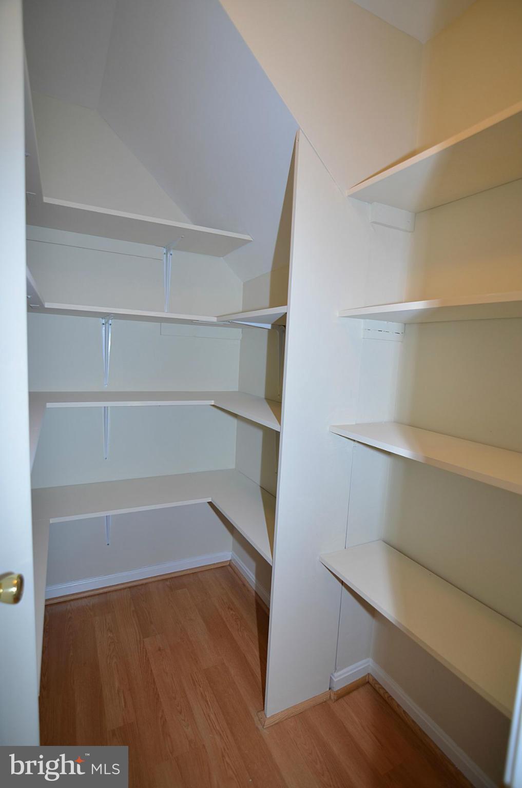 8745 Spring Brook Way, Unit 1 Odenton, MD 21113 - Photo 9 of 20 Kitchen Pantry