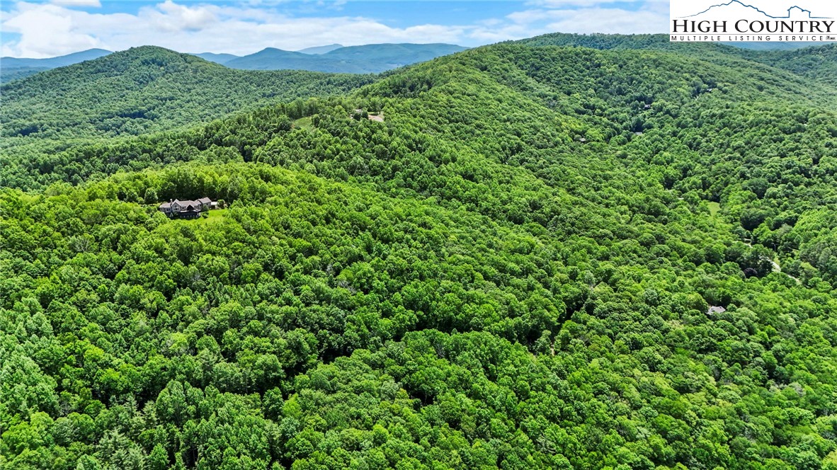 T-1-and T-2 T-1-and T-2 Grace Mountain Road Todd, NC 28684 - Photo 19 of 27 a view of a lush green field