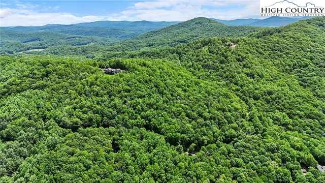 a view of a lush green forest with a mountain in the background