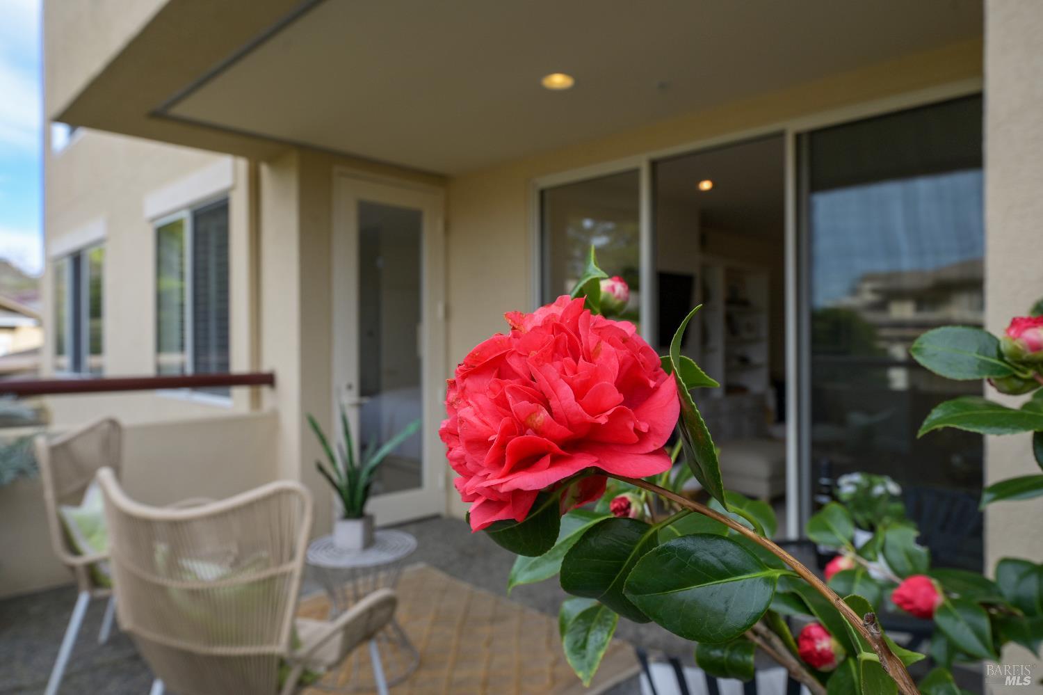 400 Deer Valley Road, Unit 2A San Rafael, CA 94903 - Photo 14 of 22 a bathroom with a sink mirror and vanity