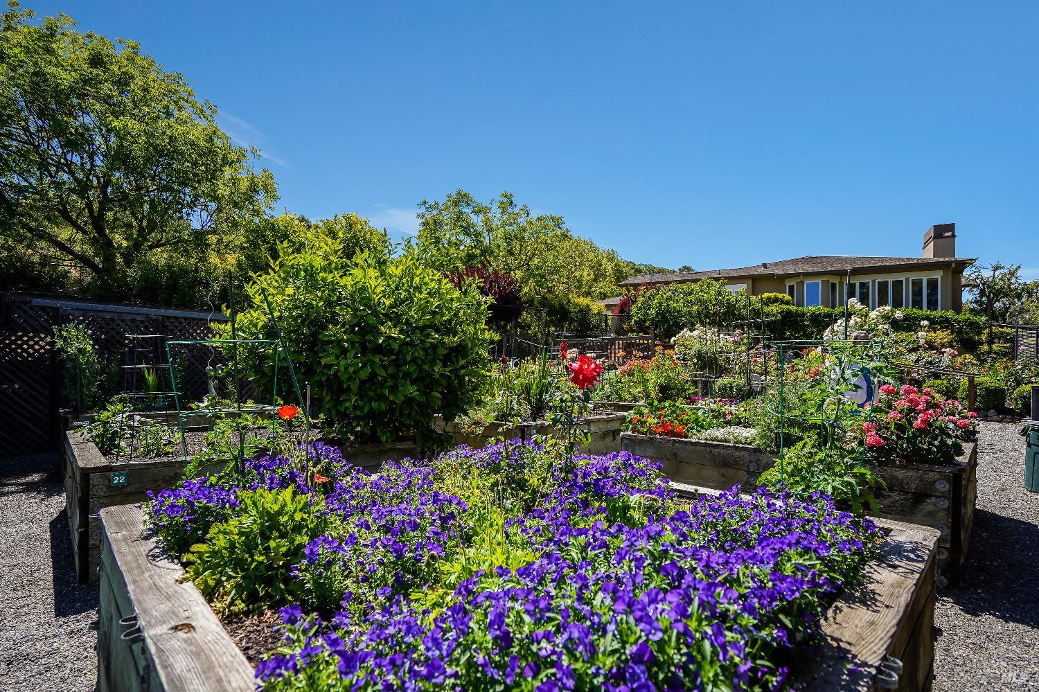 400 Deer Valley Road, Unit 2A San Rafael, CA 94903 - Photo 21 of 22 a variety of flowers and fruits