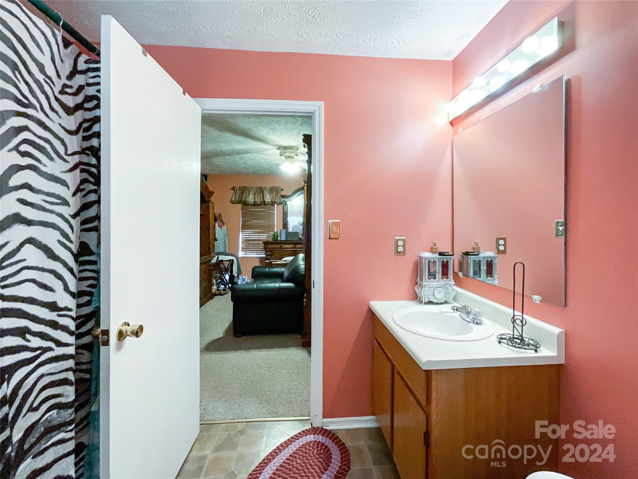 267 Homeplace Road Rockingham, NC 28379 - Photo 33 of 47 a bathroom with a sink and a mirror