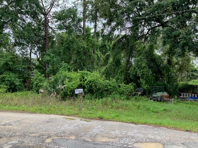 Southeast 21st Place Road Silver Springs, FL 34488 - Photo 3 of 5 a view of a yard with plants and a fountain