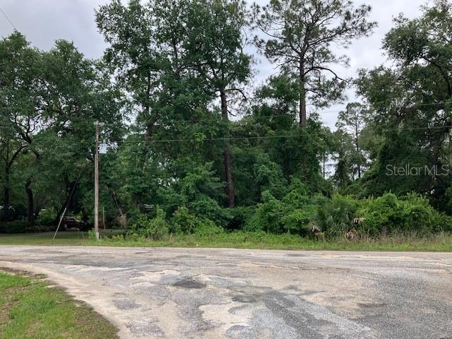 Southeast 21st Place Road Silver Springs, FL 34488 - Photo 4 of 5 a view of a yard with a trees