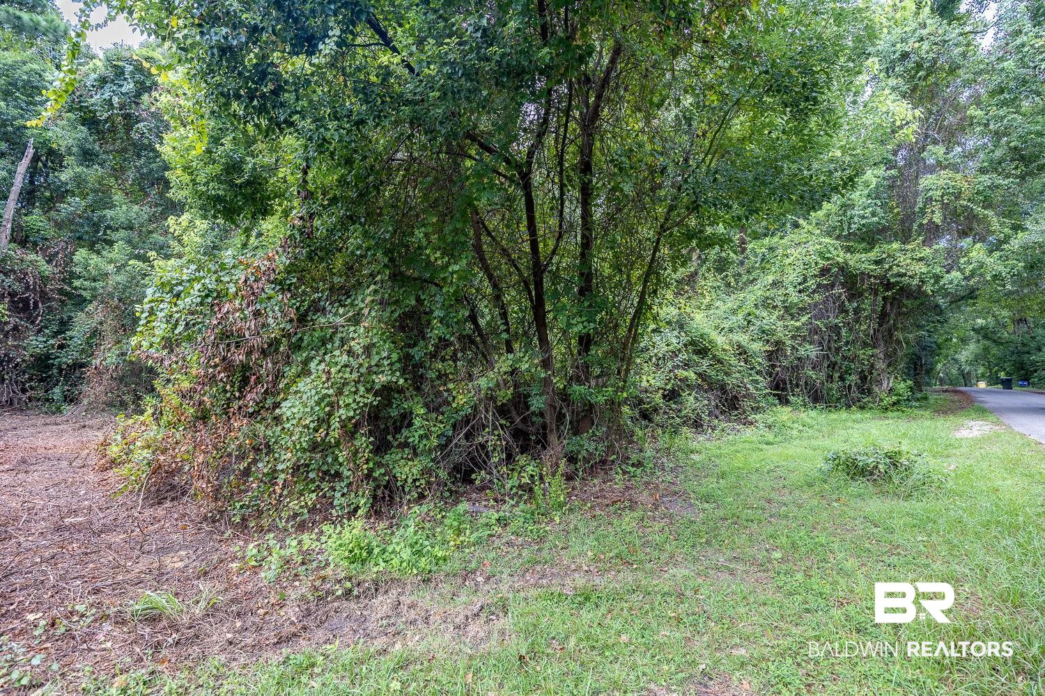 0 Main Street Daphne, AL 36526 - Photo 5 of 6