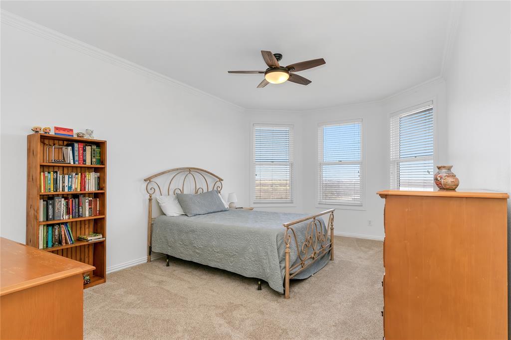 4520 South Nolan River Road Cleburne, TX 76033 - Photo 32 of 40 Bedroom featuring baseboards, multiple windows, light colored carpet, and ornamental molding