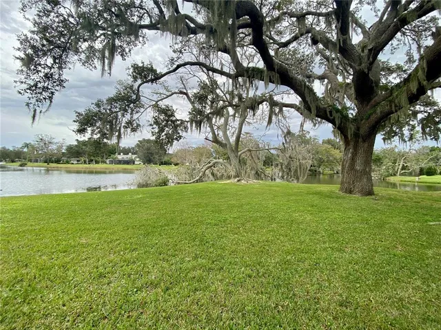 a view of a yard with a tree