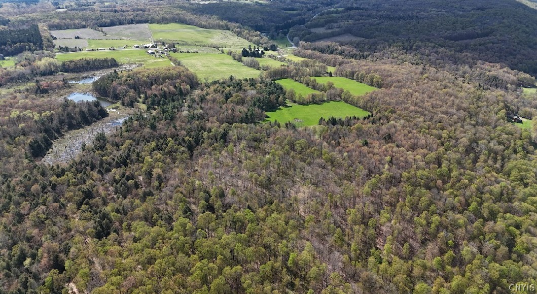 1324 Lake Como Road Summerhill, NY 13118 - Photo 3 of 12