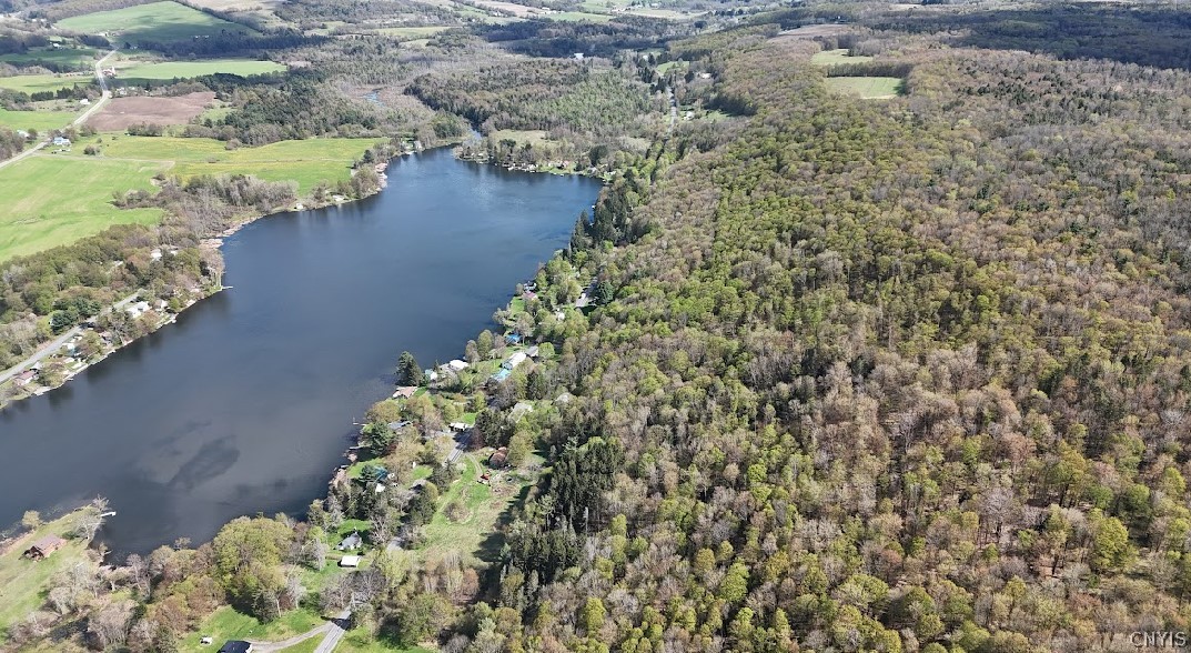 1324 Lake Como Road Summerhill, NY 13118 - Photo 5 of 12
