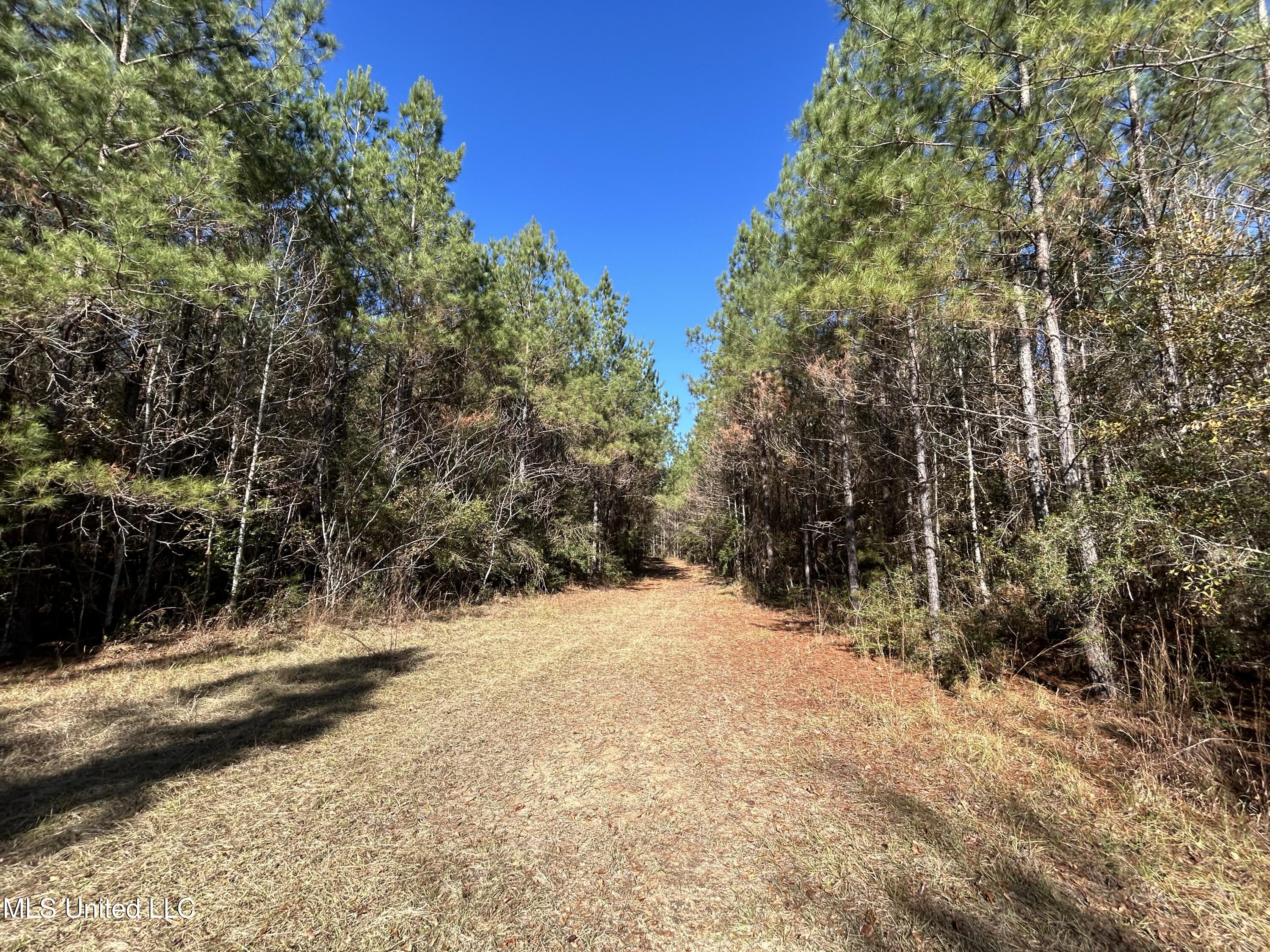 . Dwain Road Osyka, MS 39657 - Photo 1 of 31 Dwain Rd