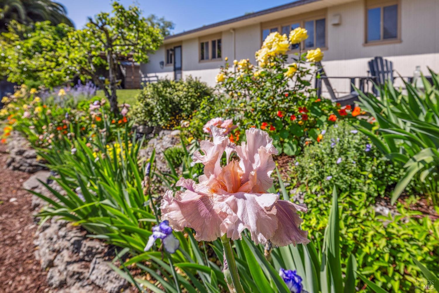 659 Las Colindas Road San Rafael, CA 94903 - Photo 11 of 44