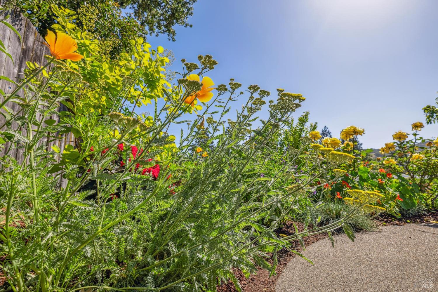 659 Las Colindas Road San Rafael, CA 94903 - Photo 33 of 44