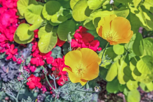a view of a chairs and table in the balcony