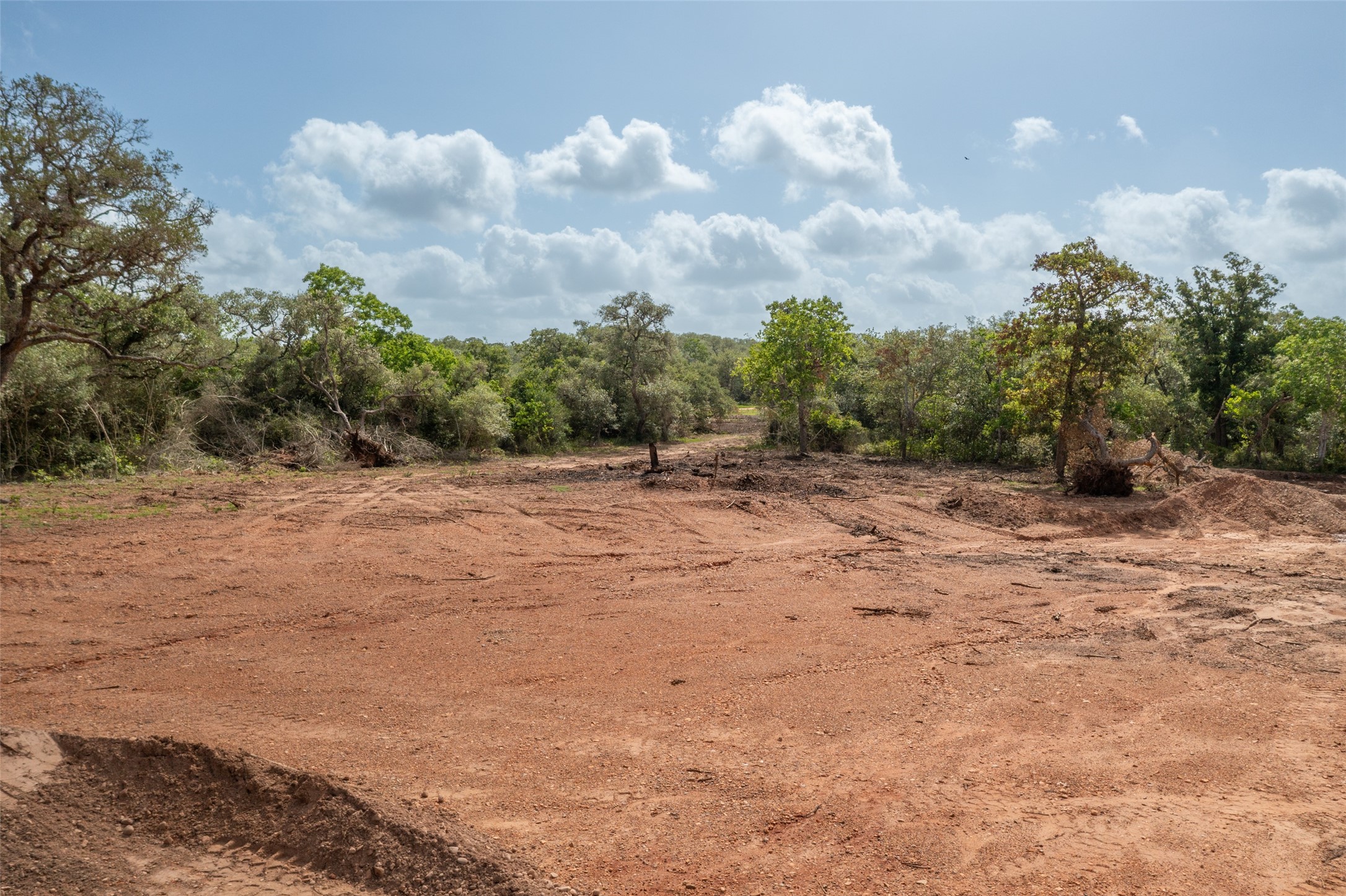 54.68-acres Cattle Guard Road Cuero, TX 77954 - Photo 15 of 50 a view of a dry yard with trees