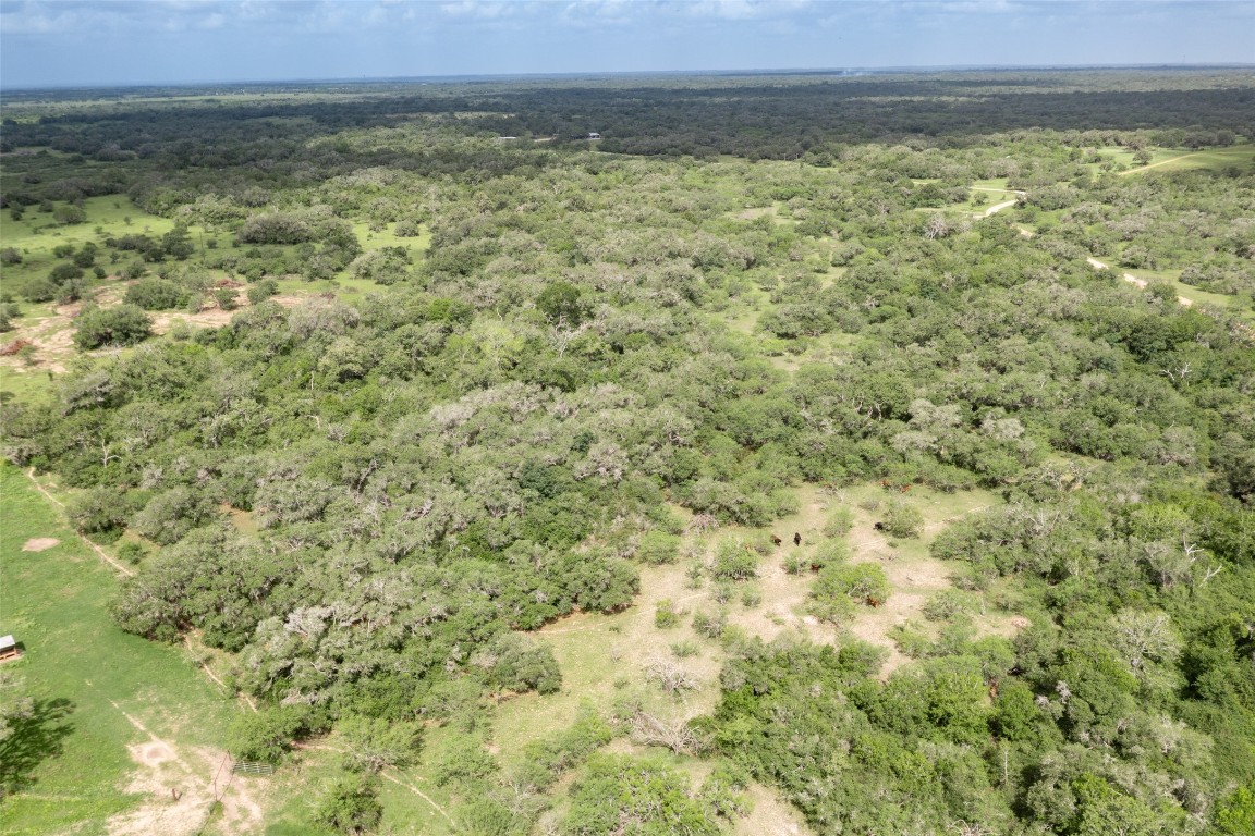 30-acres Cattle Guard Road Cuero, TX 77954 - Photo 22 of 50