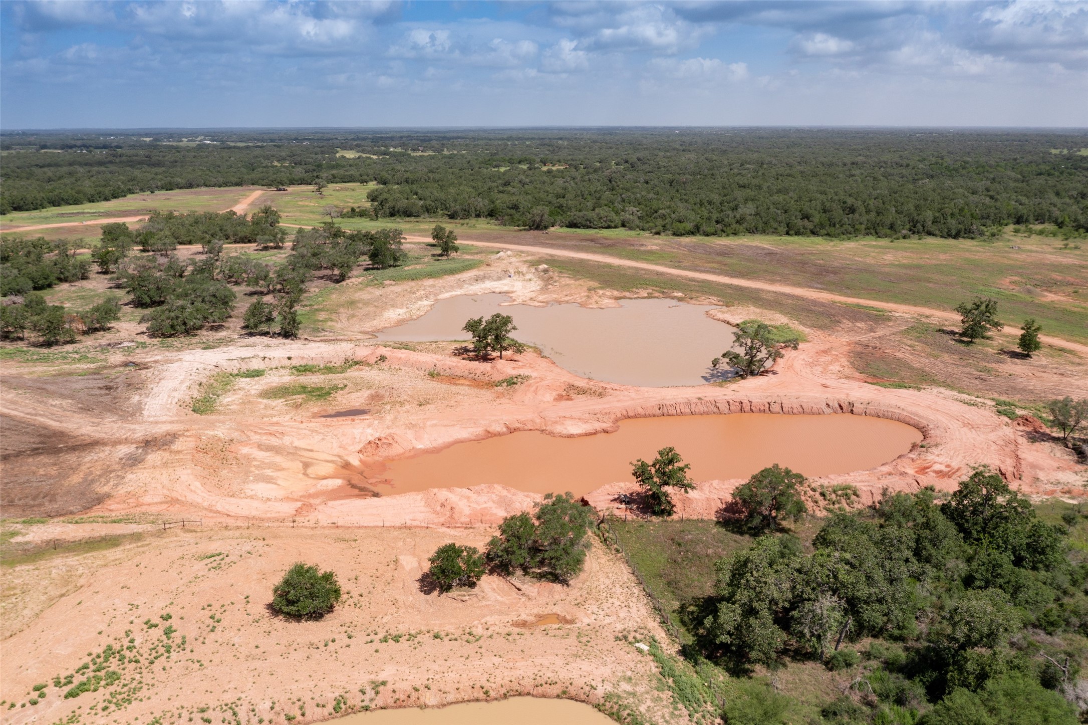 54.68-acres Cattle Guard Road Cuero, TX 77954 - Photo 39 of 50 a view of a lake with a beach
