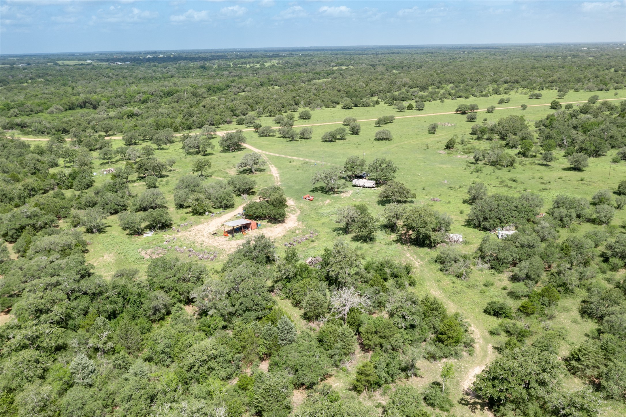 54.68-acres Cattle Guard Road Cuero, TX 77954 - Photo 46 of 50 a view of a big yard with lots of bushes