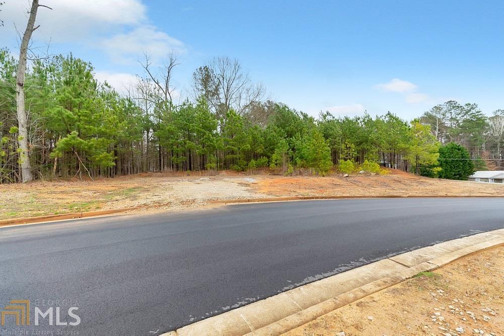 0 Old County Farm Road, Unit LOT 1 Dallas, GA 30132 - Photo 1 of 1