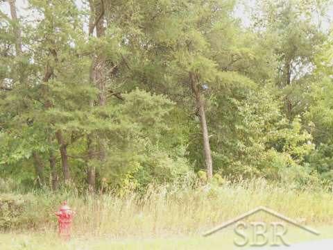 Lake Road Oscoda, MI 48750 - Photo 1 of 1
