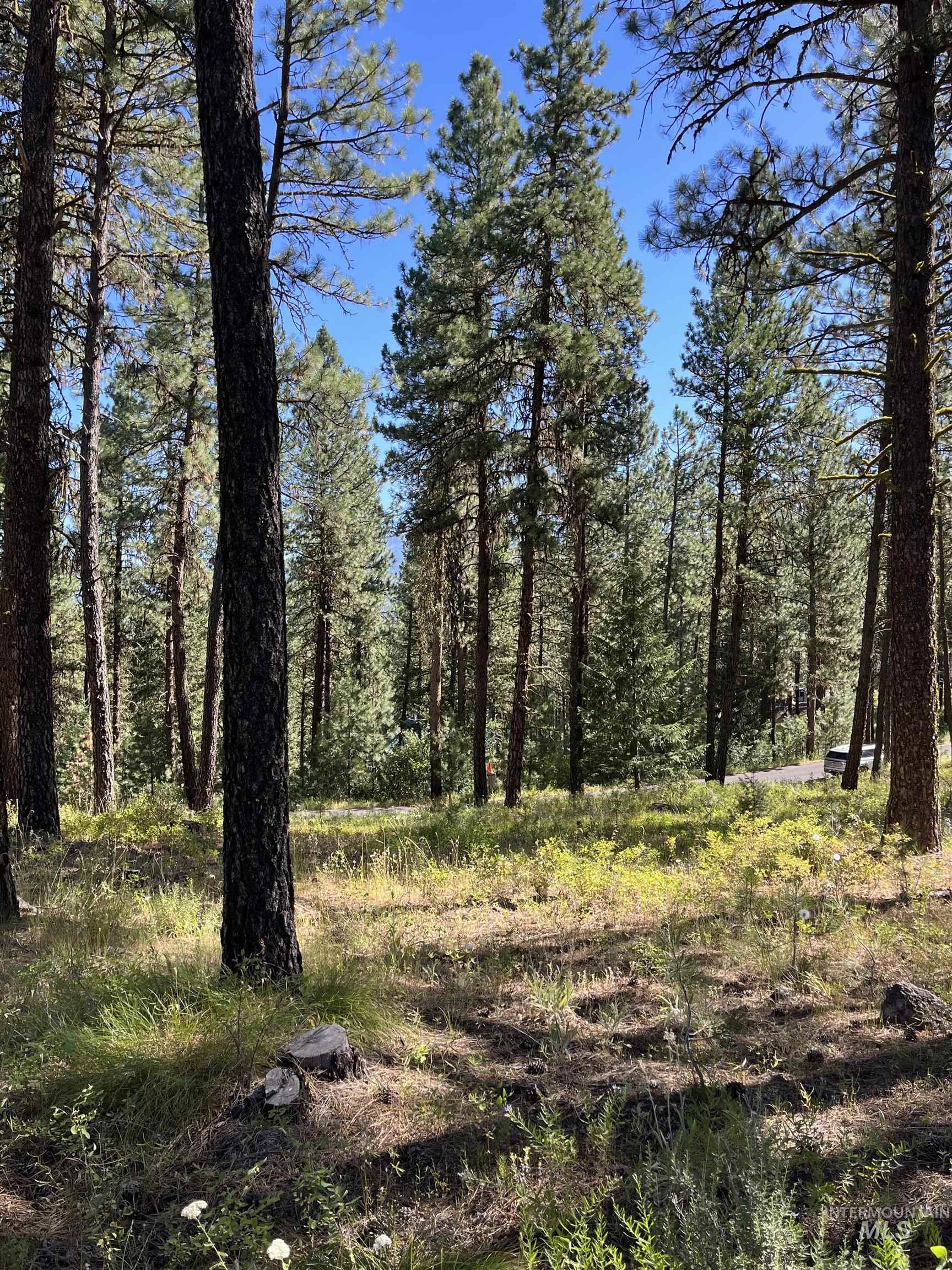 Tbd Syringa Drive New Meadows, ID 83654 - Photo 1 of 1