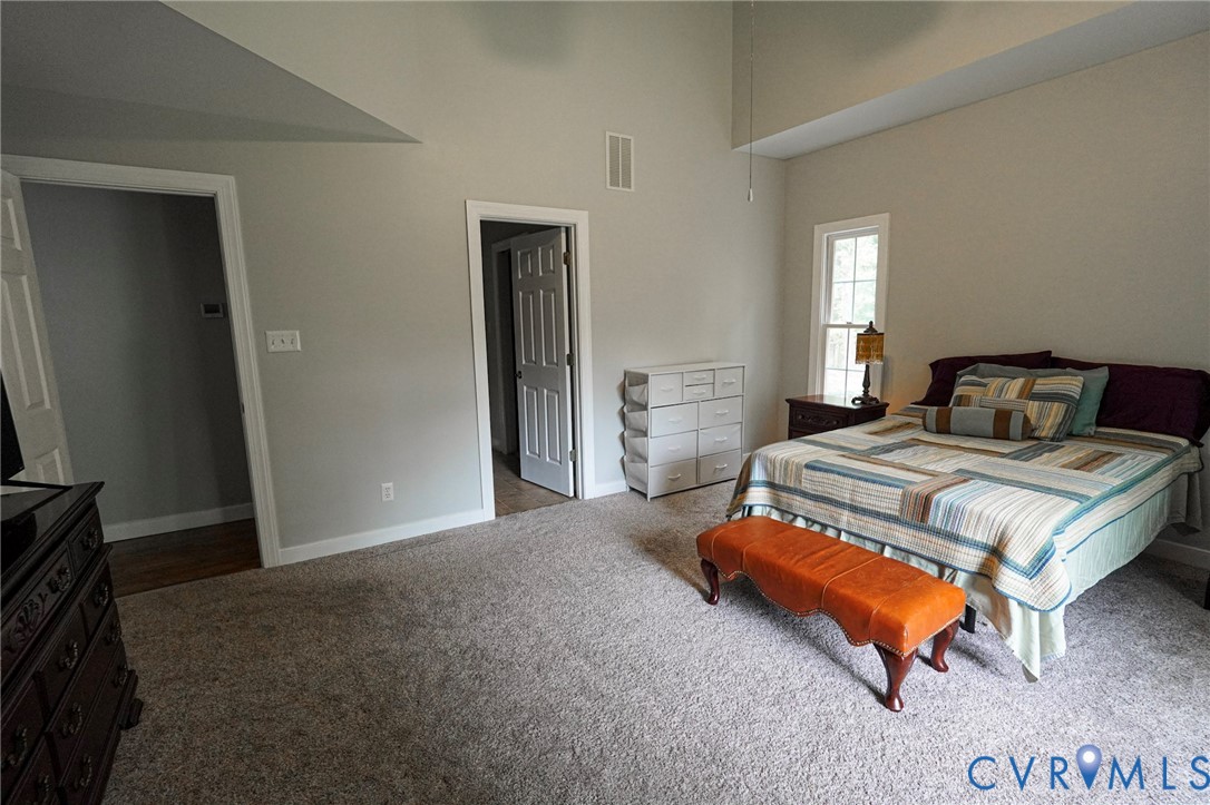 1670 Mill Quarter Road Powhatan, VA 23139 - Photo 10 of 24 First floor primary suite vaulted ceiling, a singl