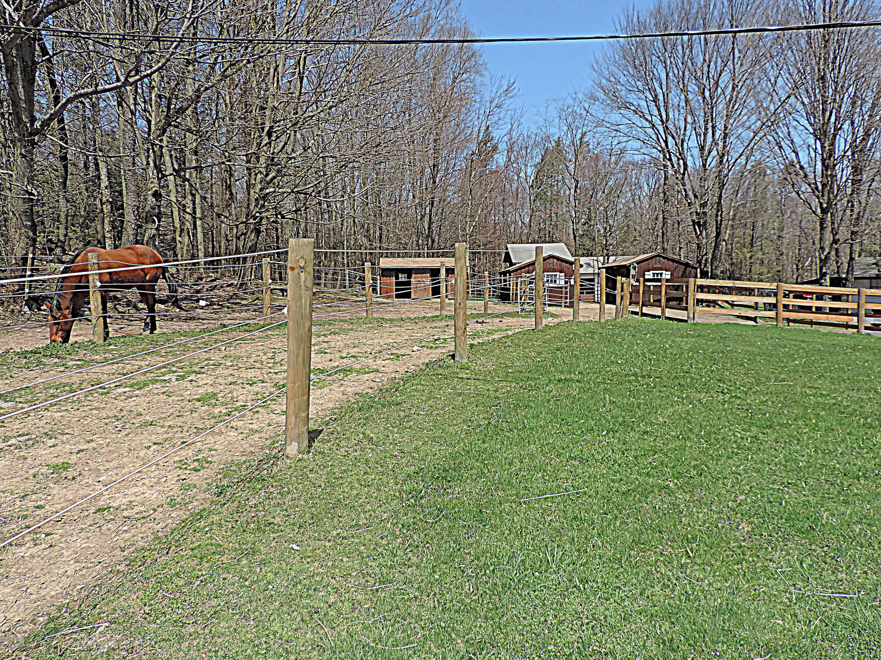 441 Huckleberry Road Newfoundland, PA 18445 - Photo 39 of 58