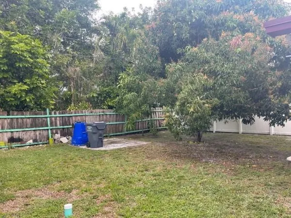 a view of a backyard with trees