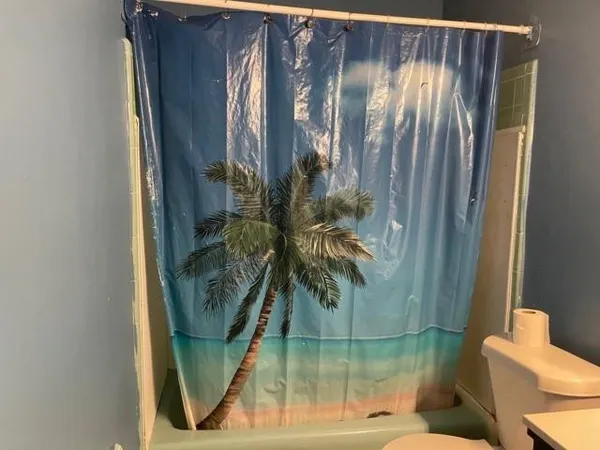 a bathroom with a toilet and a shower