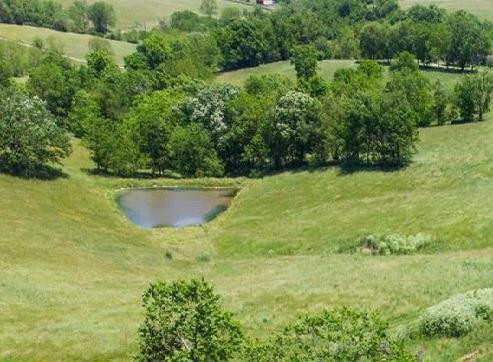 450 Steele Ford Road, Unit A Paris, KY 40361 - Photo 5 of 23 Photo 7
