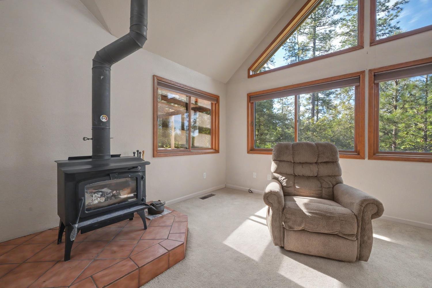 14150 Brandon Road Pine Grove, CA 95665 - Photo 20 of 67