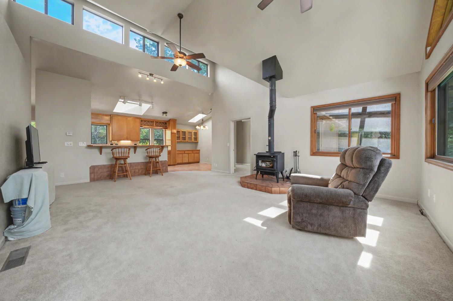 14150 Brandon Road Pine Grove, CA 95665 - Photo 22 of 67