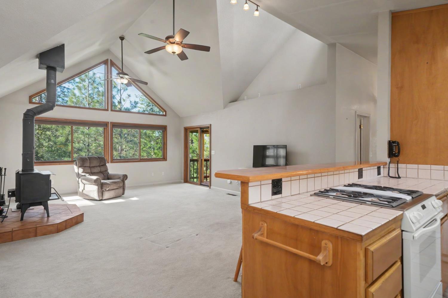 14150 Brandon Road Pine Grove, CA 95665 - Photo 28 of 67