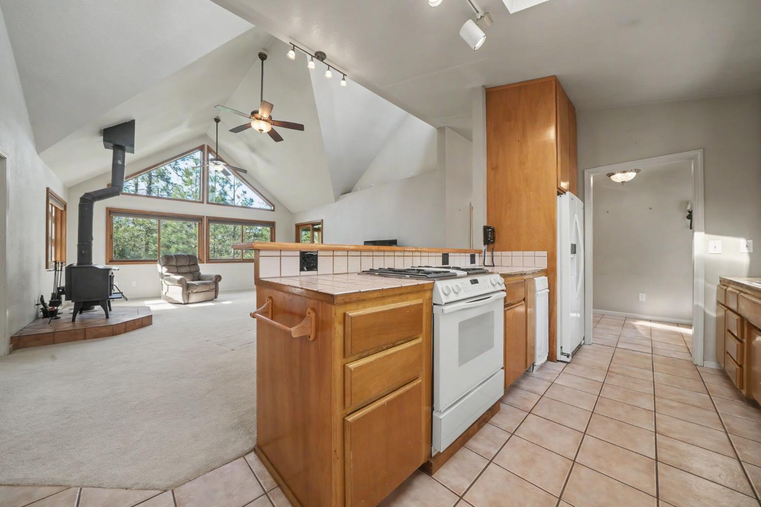 14150 Brandon Road Pine Grove, CA 95665 - Photo 30 of 67