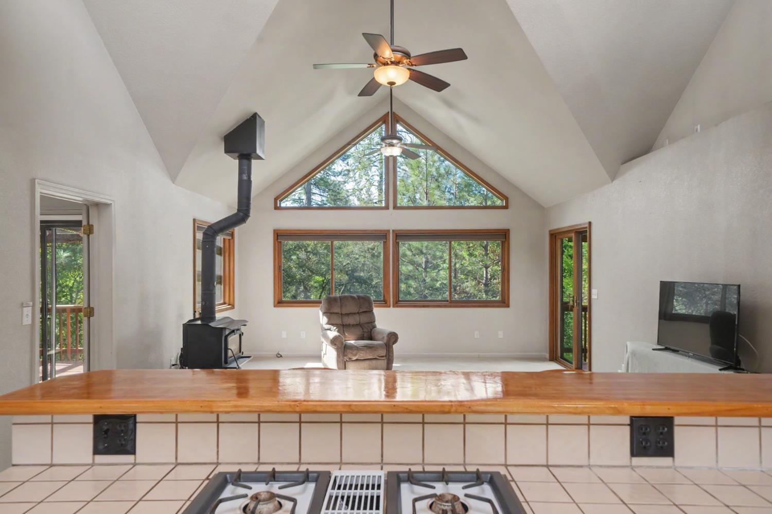 14150 Brandon Road Pine Grove, CA 95665 - Photo 33 of 67