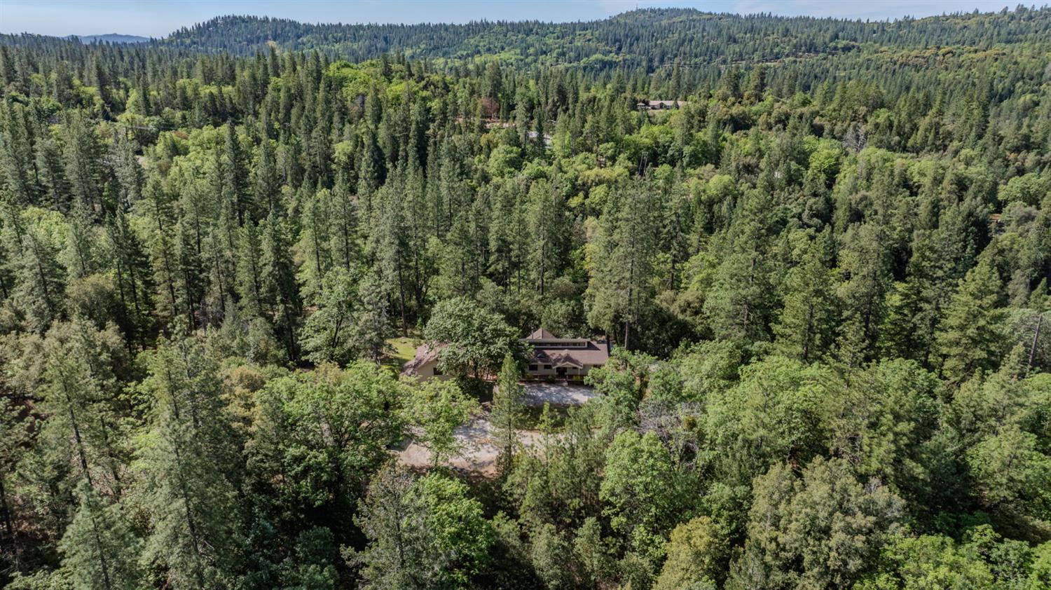 14150 Brandon Road Pine Grove, CA 95665 - Photo 63 of 67