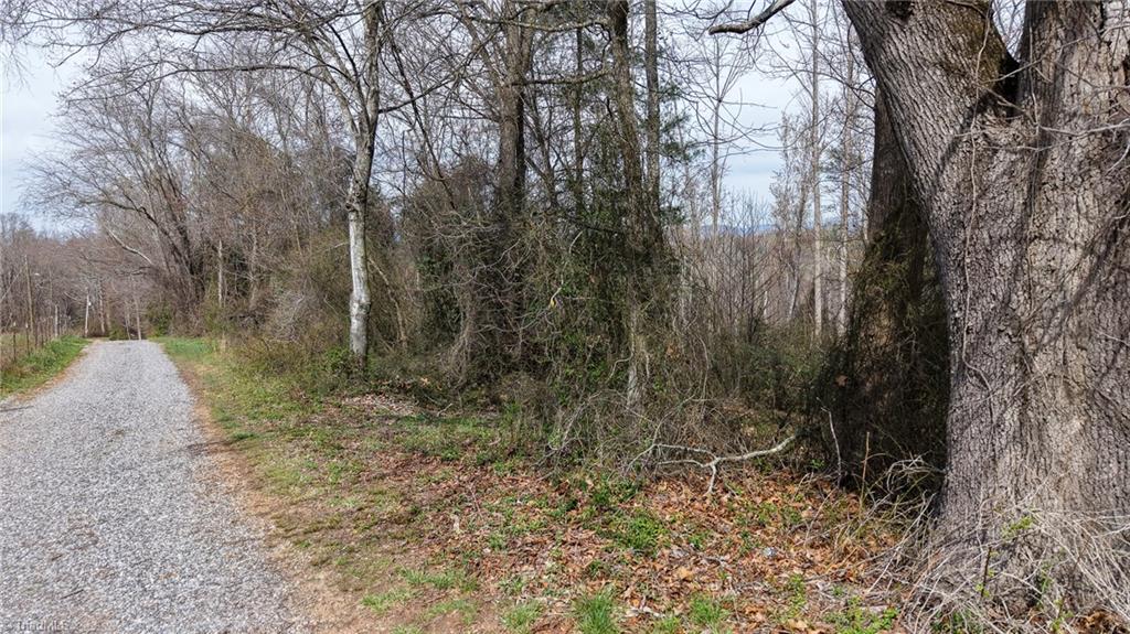 0 McKinley Road Roaring River, NC 28669 - Photo 1 of 35 Gallery Image 1