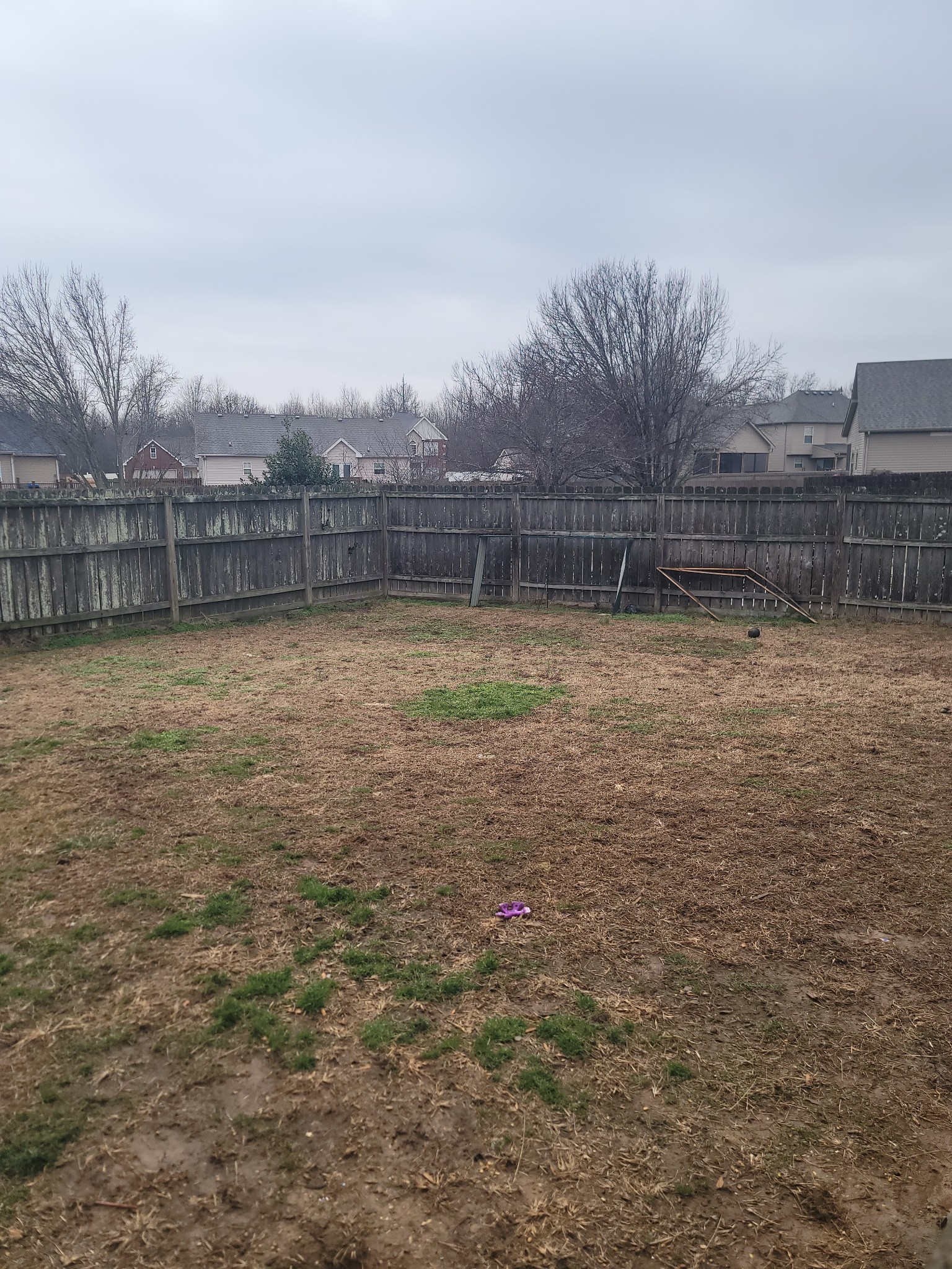 205 Emerald Circle Pleasant View, TN 37146 - Photo 28 of 29