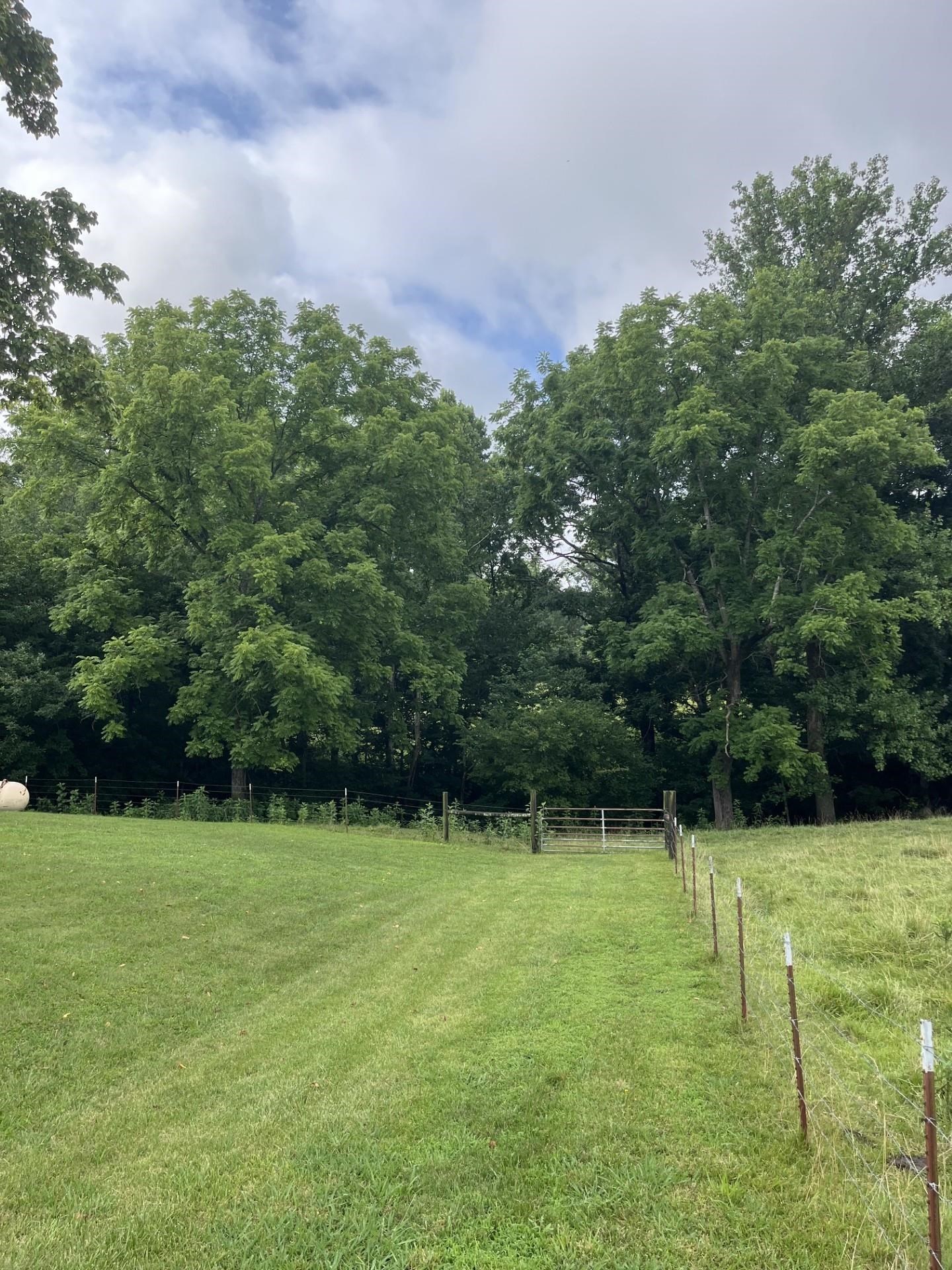 899 East L Smith Road Monroe, TN 38573 - Photo 8 of 18