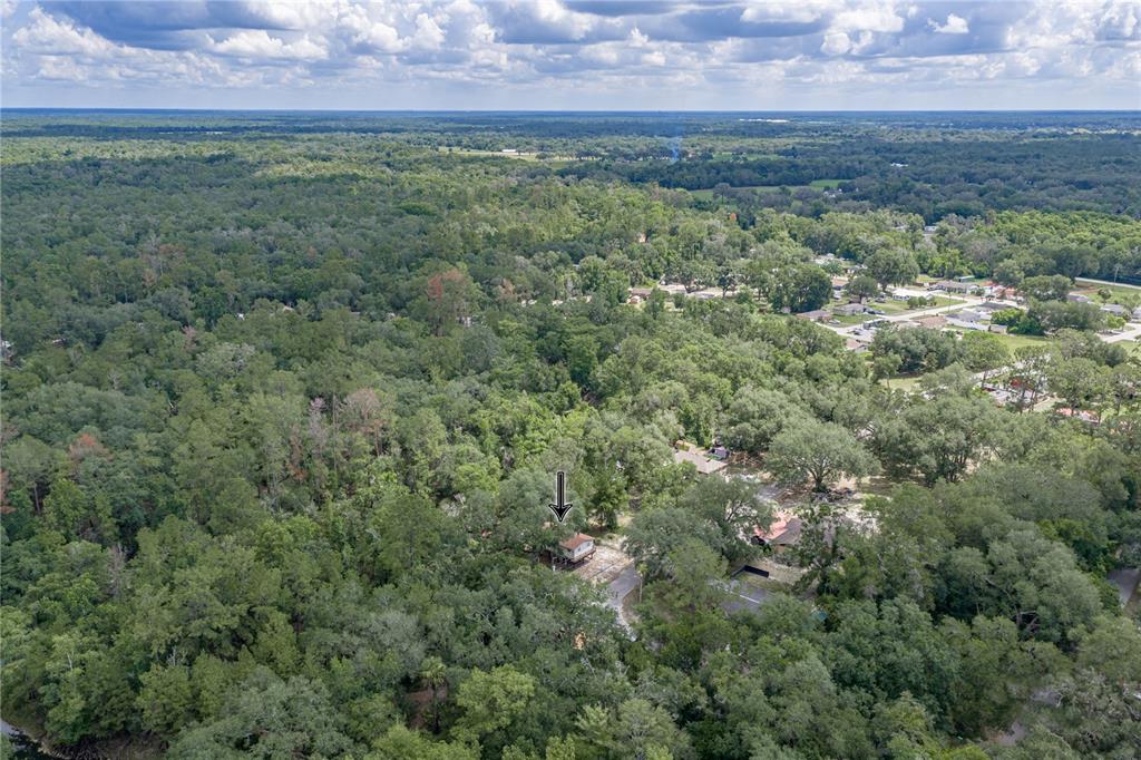 33065 Cedonia Road Dade City, FL 33523 - Photo 2 of 41
