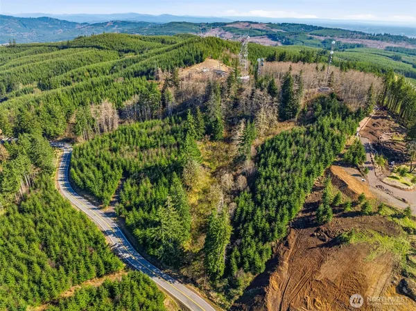 a view of a garden with an outdoor space