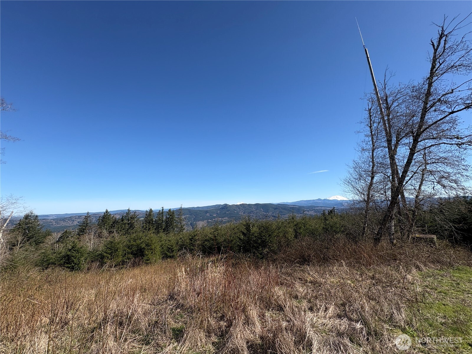 -nka China Garden Road Kalama, WA 98625 - Photo 12 of 12